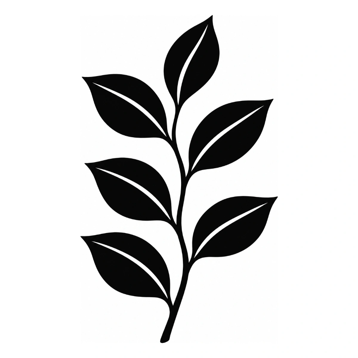 Ficus elegante - disegno adesivo monocolore