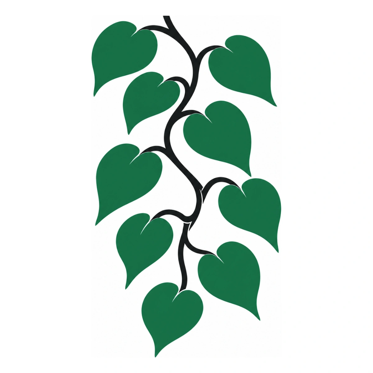 Pothos ricadente - disegno adesivo multicolore