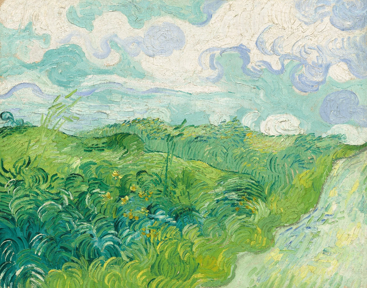 Campi di grano verde ad Auvers - Vincent van Gogh | Riproduzione su tela