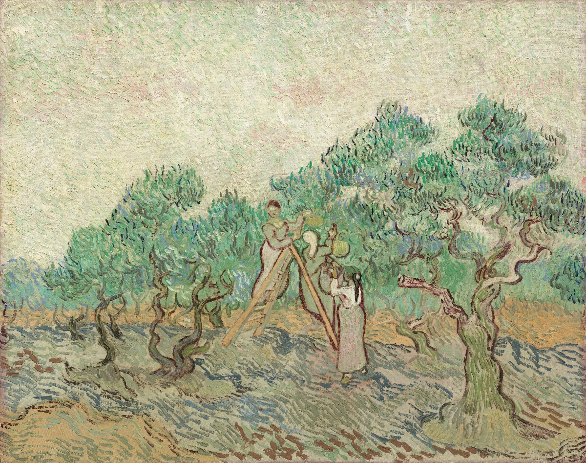 L'uliveto - Vincent van Gogh | Riproduzione su tela