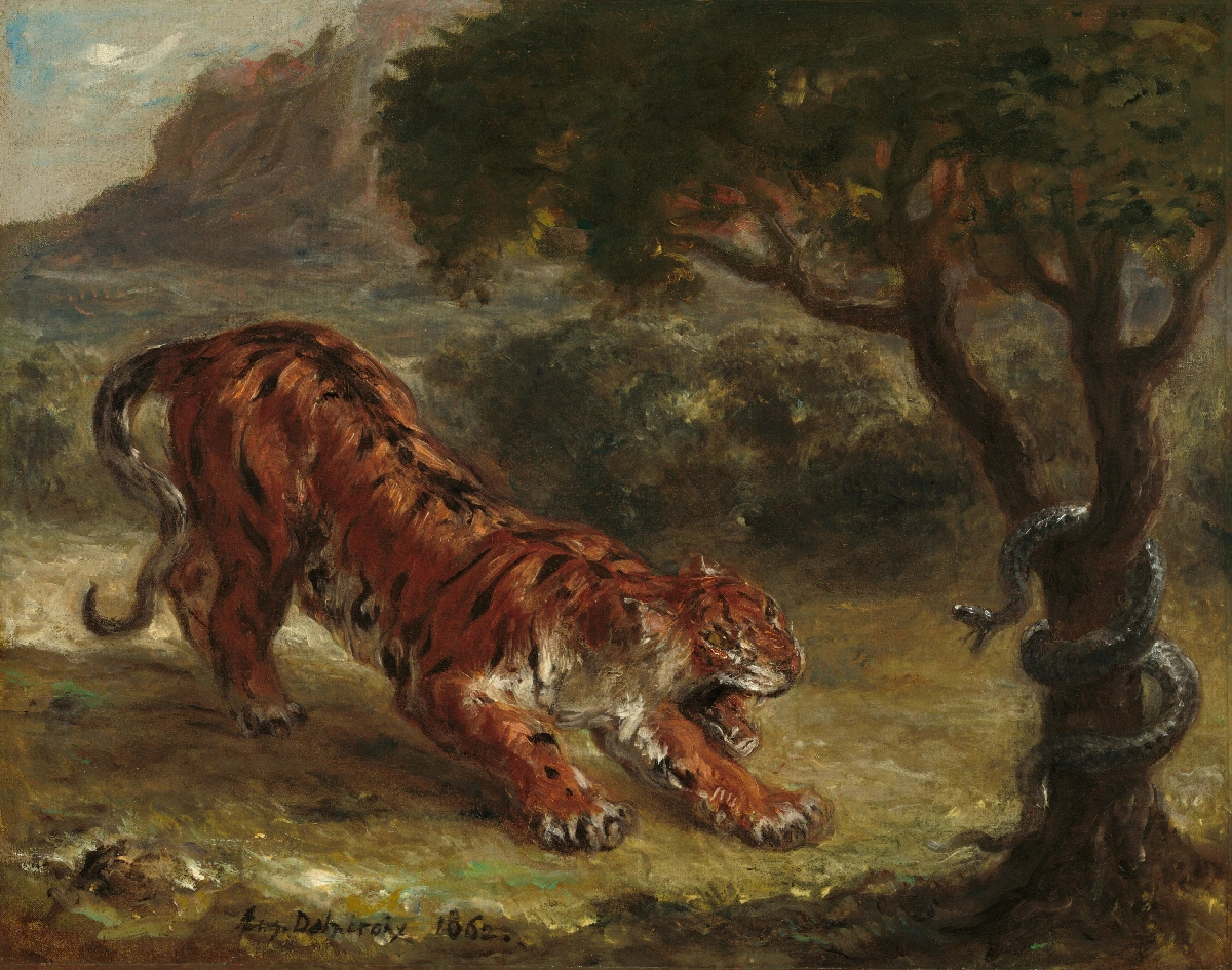 Tigre e serpente - immagine completa della stampa su tela