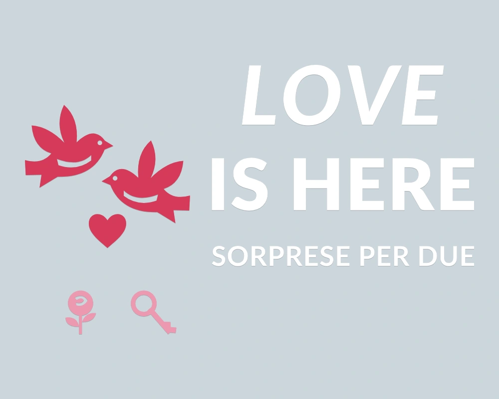 Colombe innamorate - Insegna laterale - LOVE IS HERE | Adesivo vetrina prespaziato